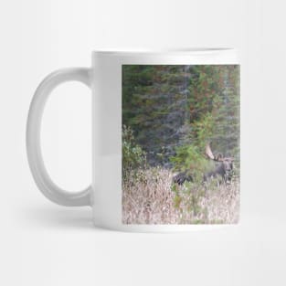 Hidden Moose, Algonquin Park, Canada Mug